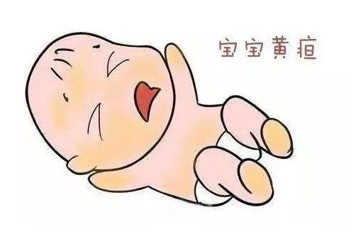 柯桥区2019年经济总量_柯桥区地图
