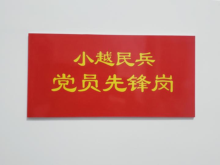 "疫"声令下:我是党员我先上—小越民兵党员在防疫阻击战中逆行