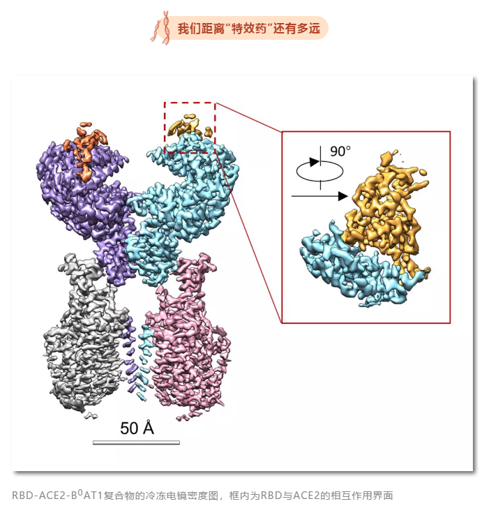 微信截圖_20200221064138.png 微信截圖_20200221064138.png