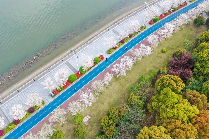DJI_0830.jpg