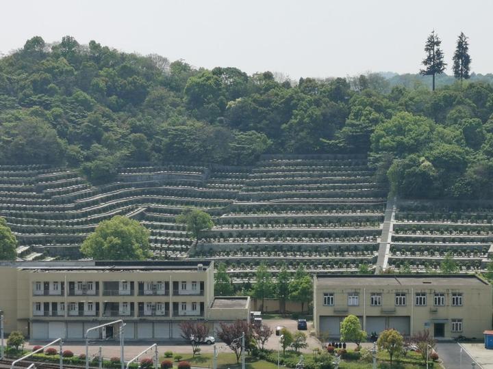 褚女士家住在13樓,按她的說法,東方悅府基本4樓以上都能看到公墓.