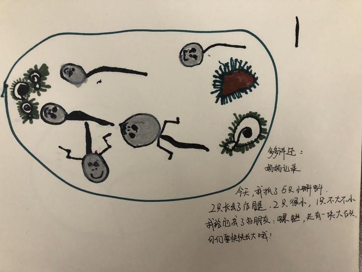 马克笔小蝌蚪实验原理图片