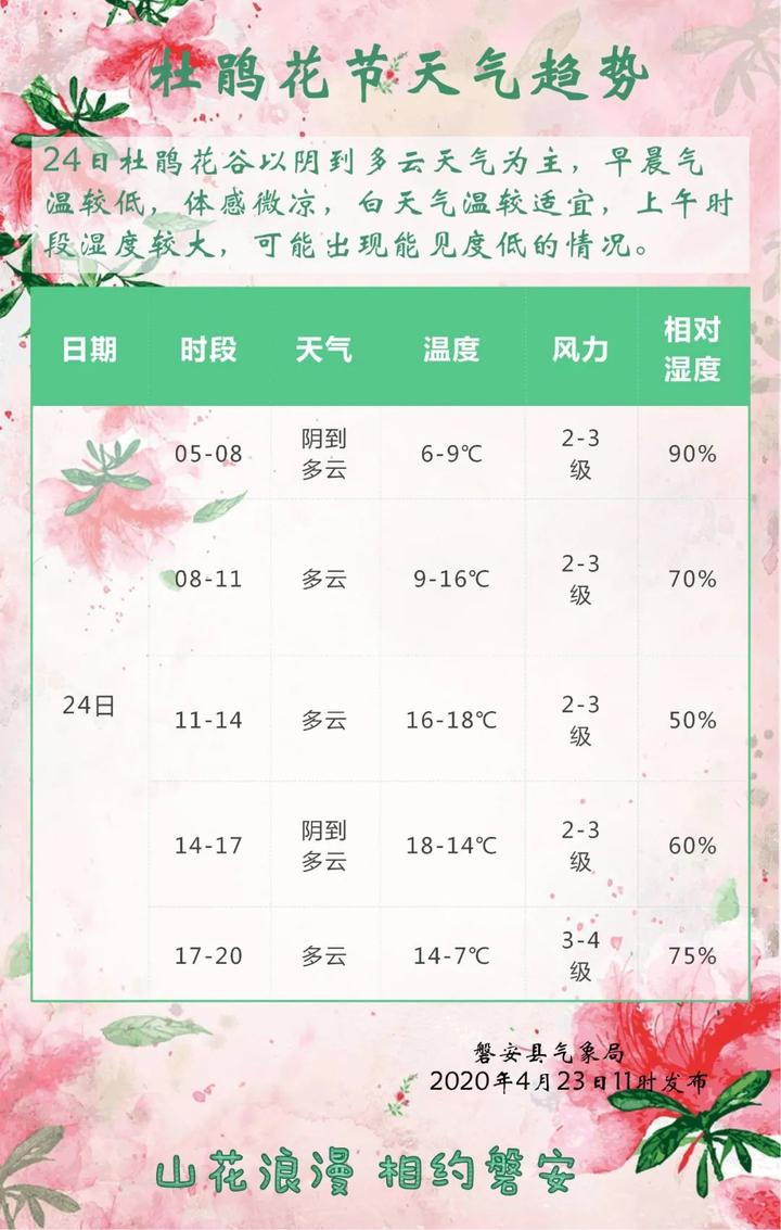 磐安杜鹃花什么时候开图片