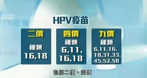 秀洲疾控中心首輪100支九價hpv疫苗29日起開啟預約通道