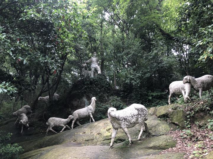 还记得吗 杭州孤山这处草坡放过鹿放过羊