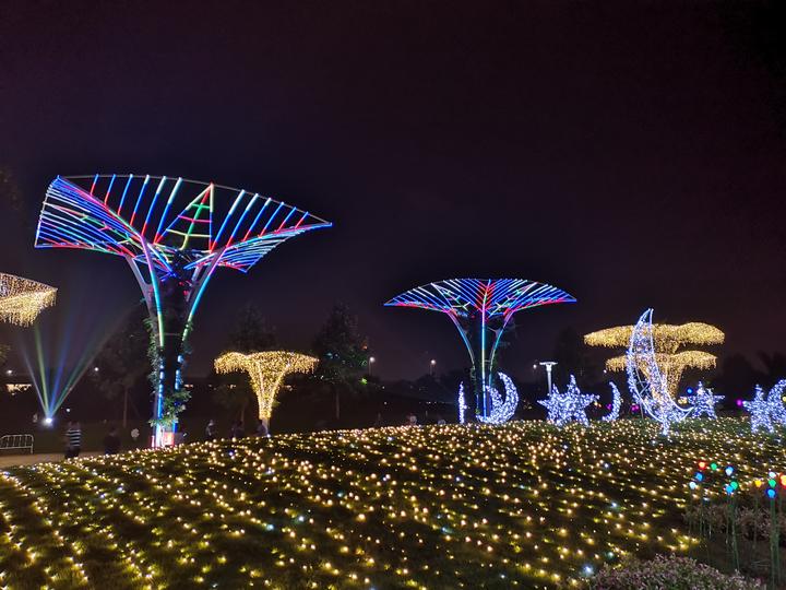 这场露天灯光秀持续两个月宁波植物园邀你过夜生活