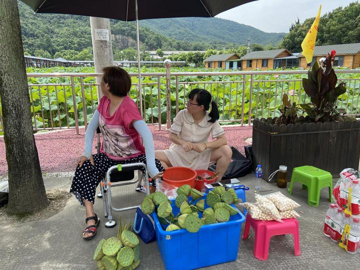 诸暨盛兆坞三村百名旗袍美女荷塘走秀