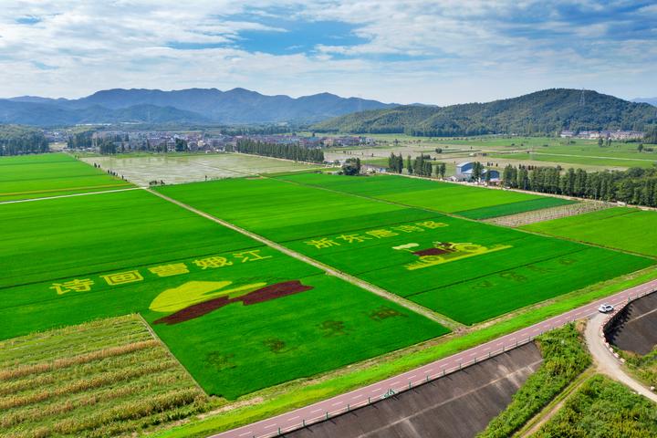 农田景观:生产宣传两不误