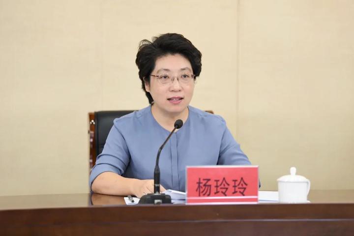 杨玲玲攻坚老问题排查新问题全力推进环保问题整改落实