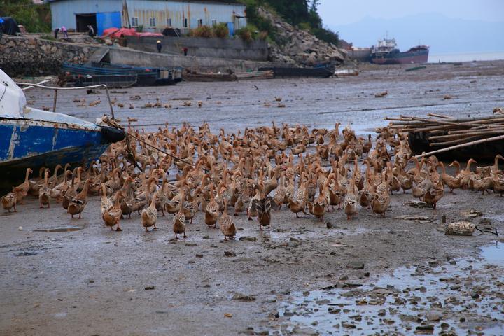 IMG_5691副本.jpg