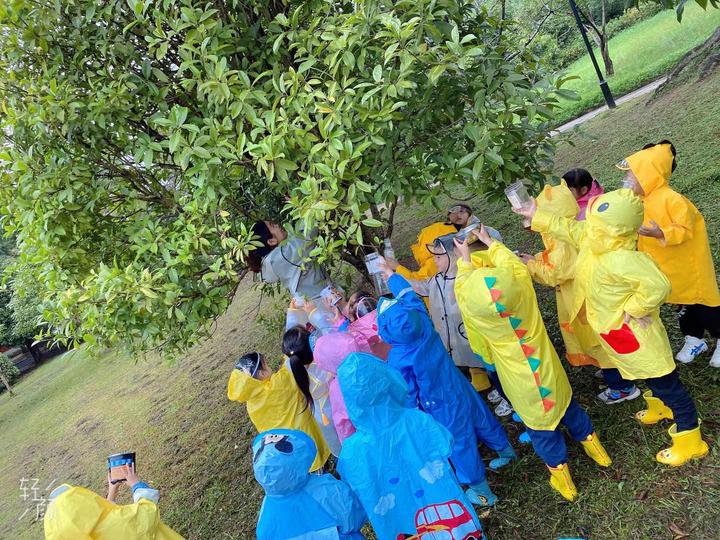 将雨水玩到极致东阳市贝贝佳音幼儿园自然生态课程有特色