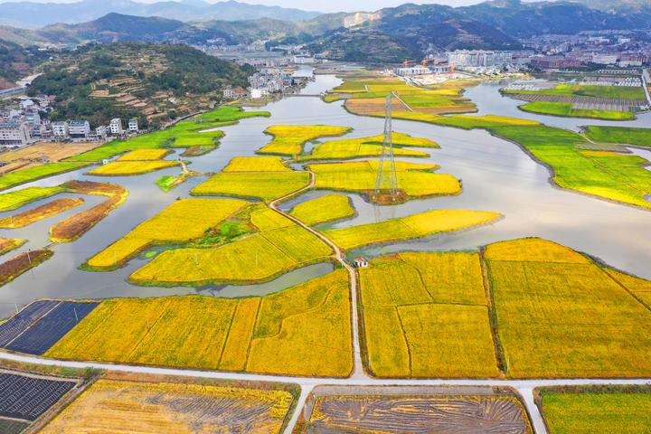 广饶县稻庄镇城坞村人口_广饶县稻庄镇纪家疃村(2)