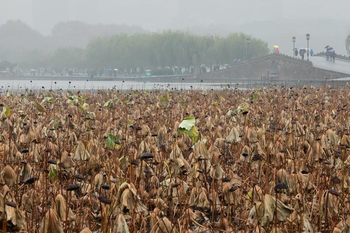 雨雾西湖（里尔摄影）3.jpg
