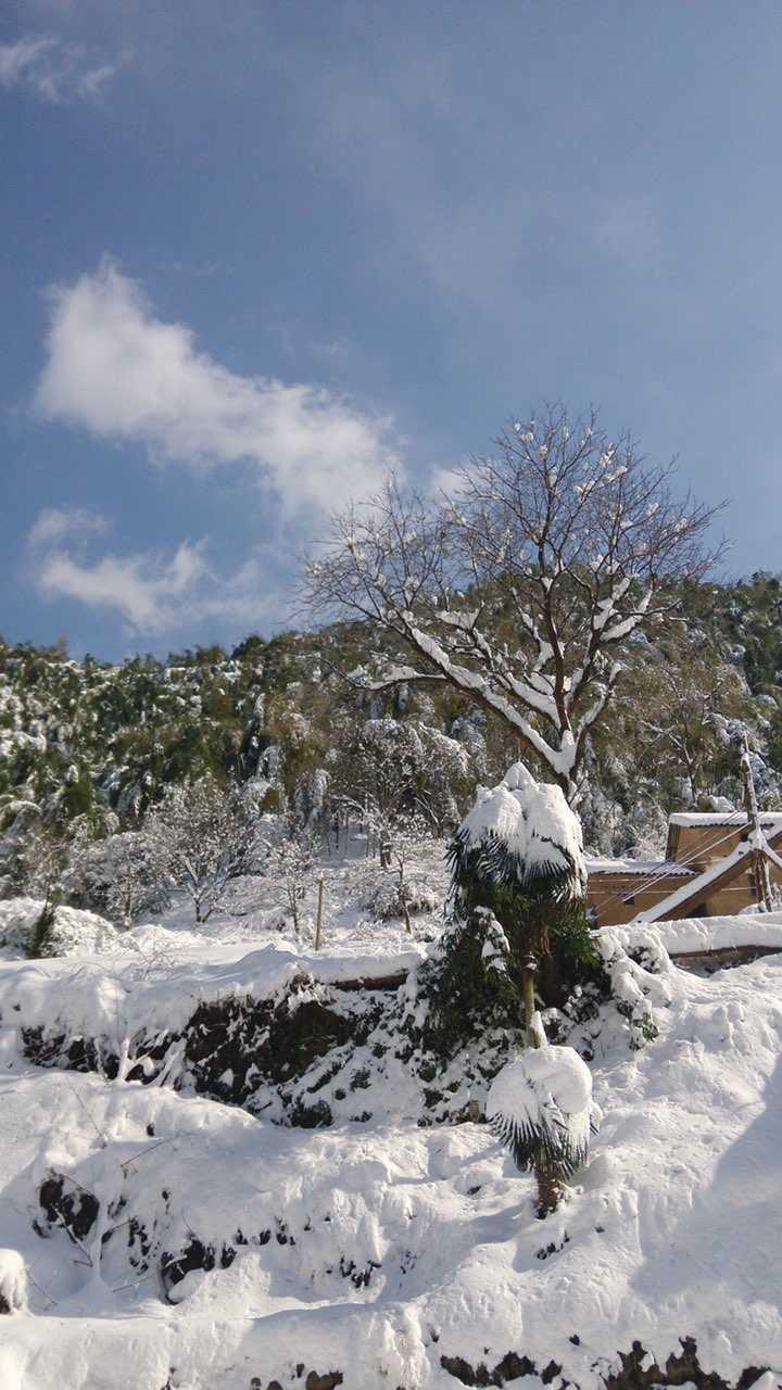 金华北山 雪景图片