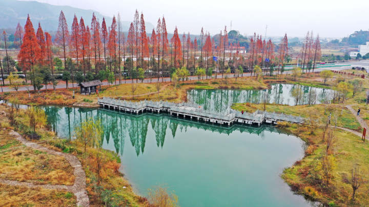 美丽乡村景美如画11.jpg