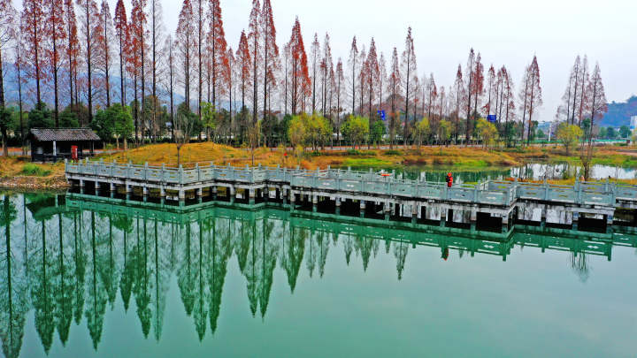 美丽乡村景美如画12.jpg