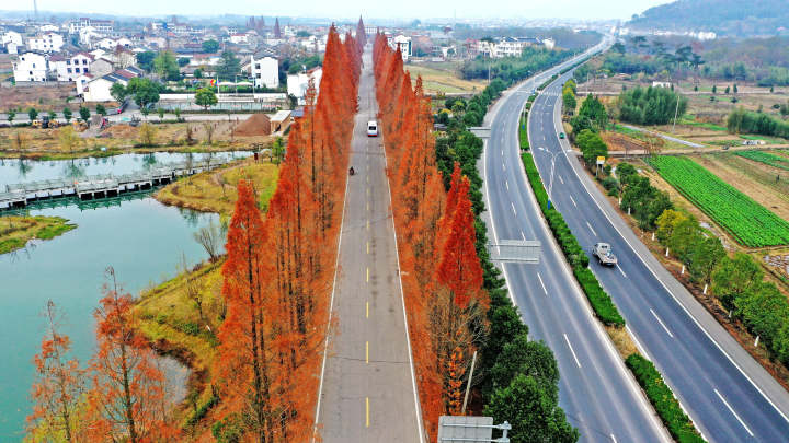 美丽乡村景美如画14.jpg