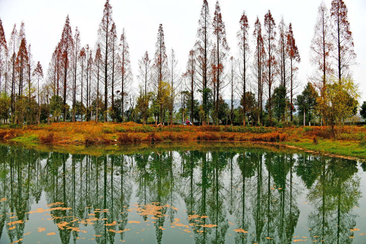 美丽乡村景美如画15.jpg