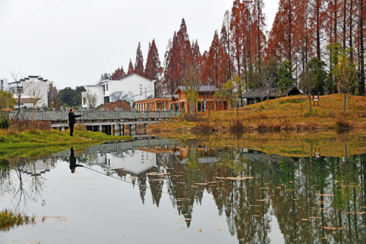 美丽乡村景美如画16.jpg