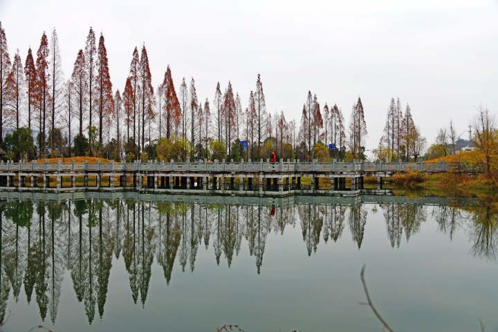 美丽乡村景美如画17.jpg