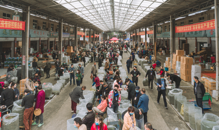 松阳茶叶市场在哪里图片