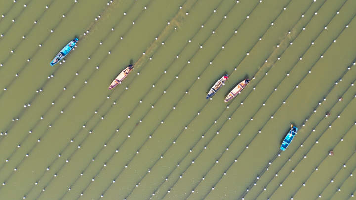 DJI_0553.jpg