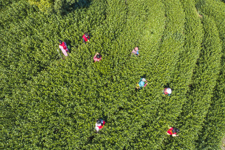 DJI_0045.jpg