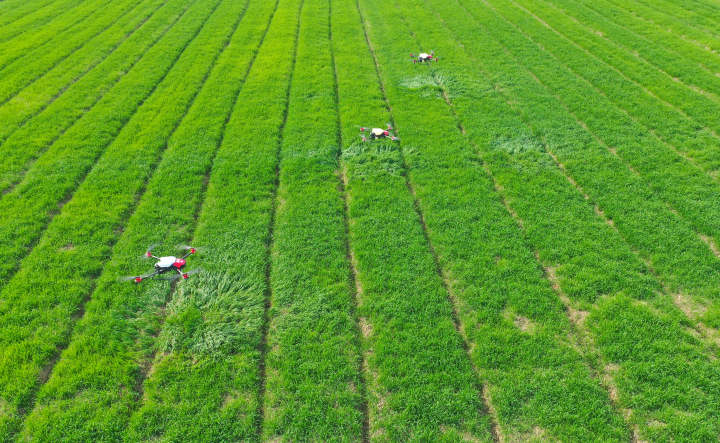 DJI_0676.jpg