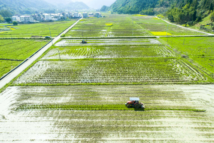 DJI_0126.jpg
