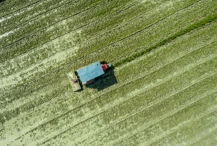 DJI_0131.jpg