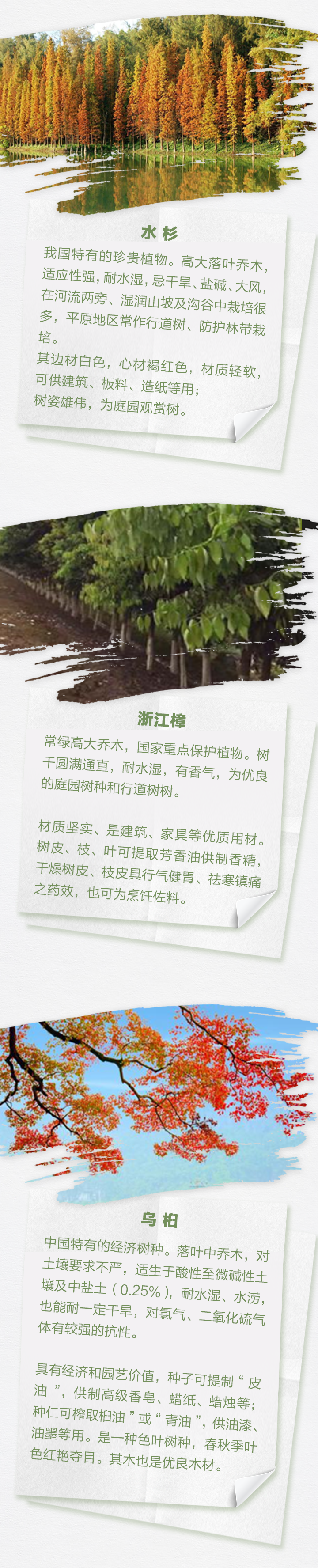 浙江新农时图 清明丨古时候的 植树节 在种些什么