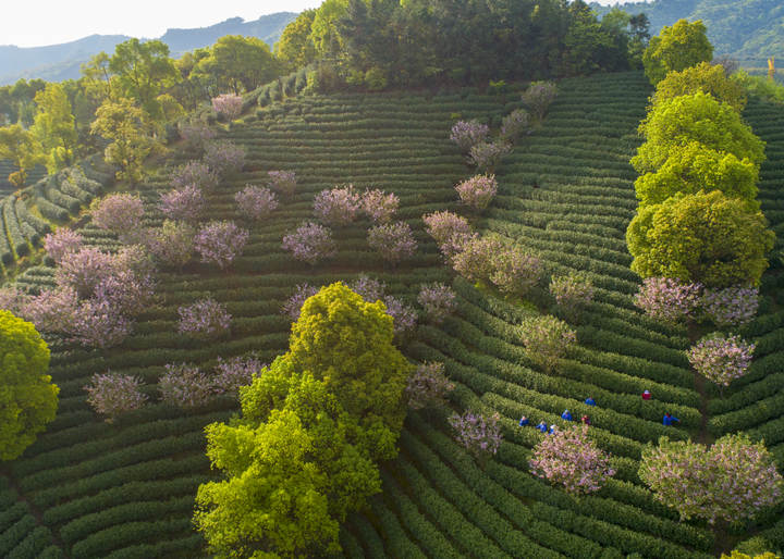 DJI_0236.jpg