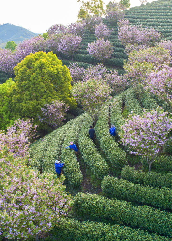 DJI_0246.jpg