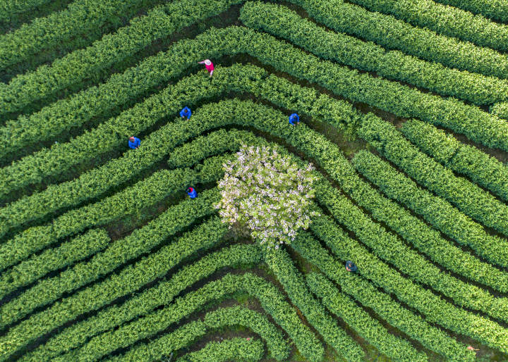 DJI_0290.jpg