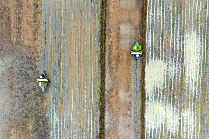 DJI_0318.JPG