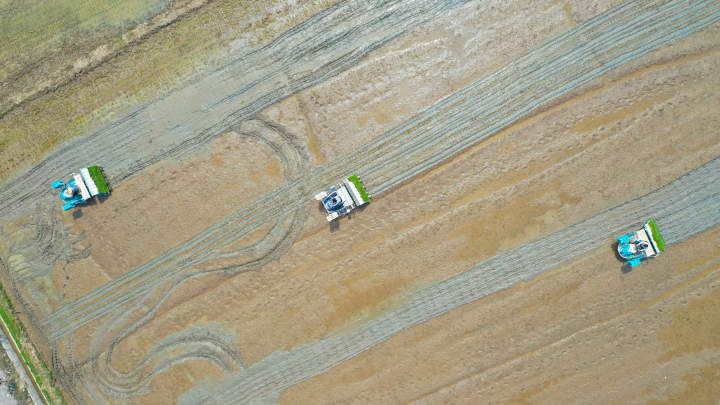 DJI_0244.jpg