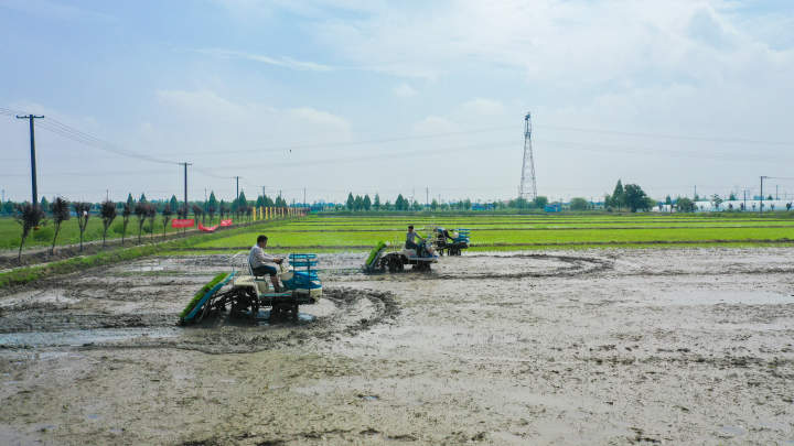 DJI_0241.jpg