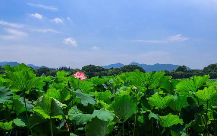 20150407041209768.jpg.source.jpg