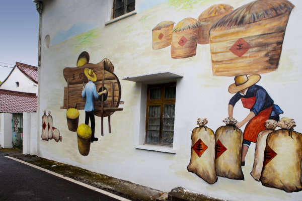 5月18日,崧厦街道祝温村一居民外墙的丰收墙绘图