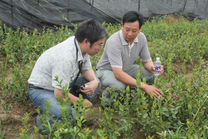 躬耕30餘年 油茶專家姚小華帶領林農把油搬上山,把錢存上山