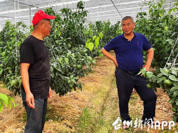 临海市有多少人口_临海大岭山隧道口两车相撞三人受伤被困,临海消防紧急救援