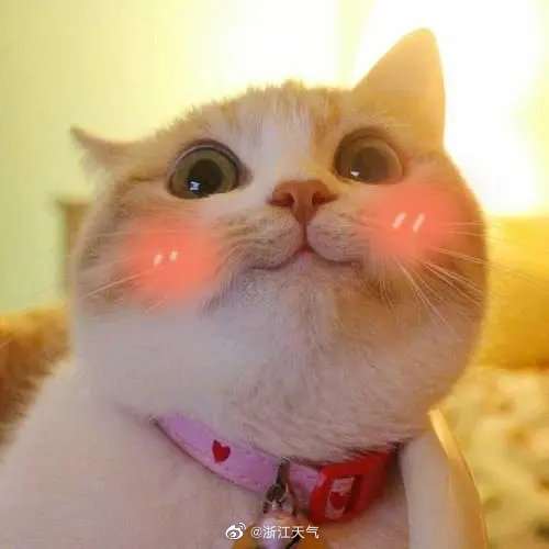 0025JKmmly1guyou2wmnkj60dw0dwq3e02.jpeg