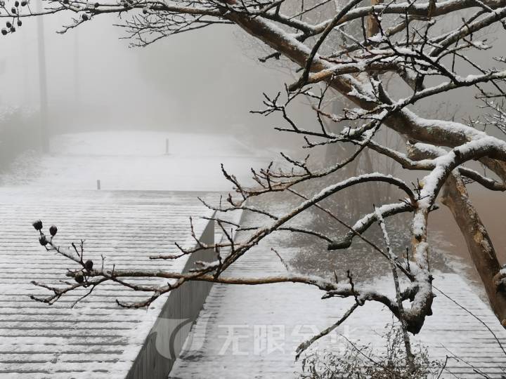 金华北山 雪景图片