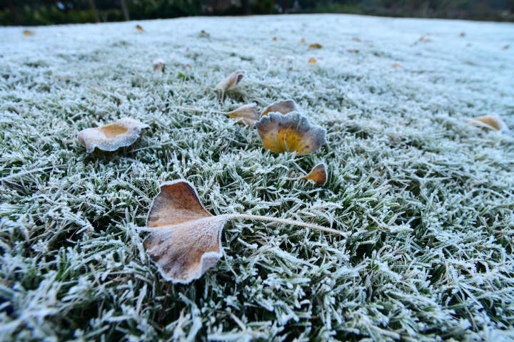 杭州西湖霜如雪回暖进行时