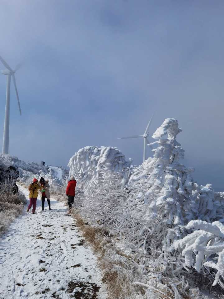 東白山的雪景令人直嘆人間值得