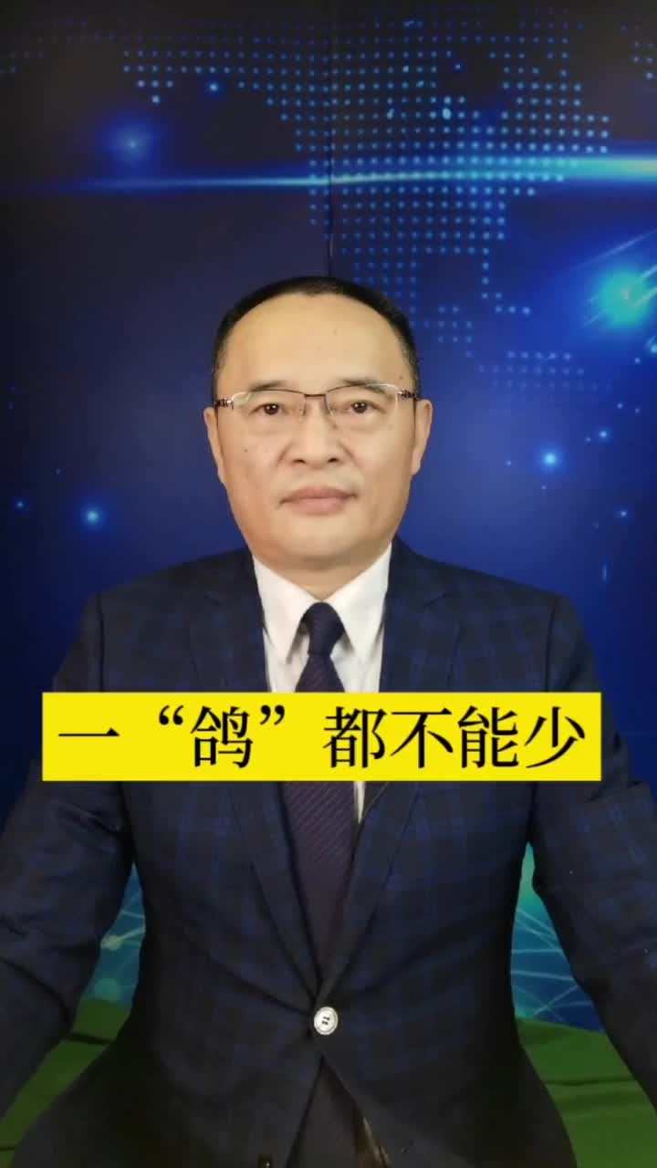 一鸽都不能少高清图片