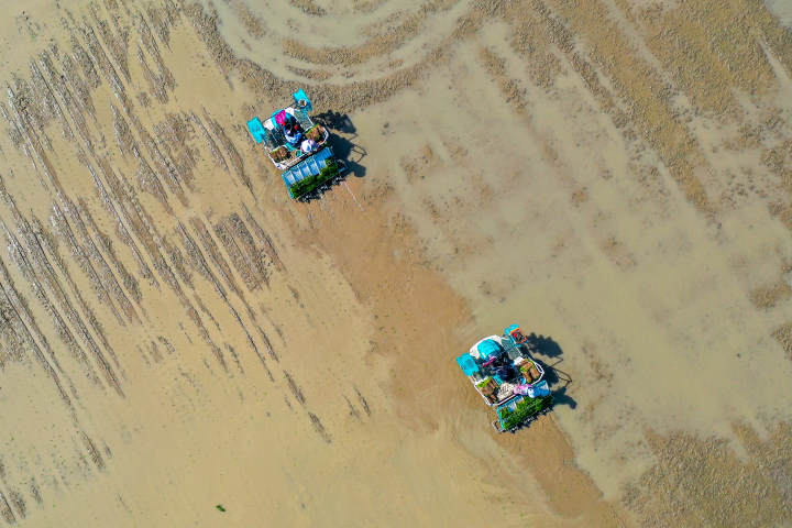 DJI_0253-5.jpg