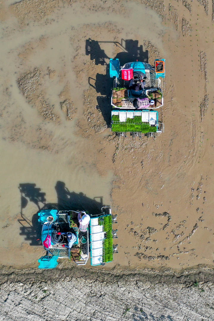 DJI_0260-6.jpg