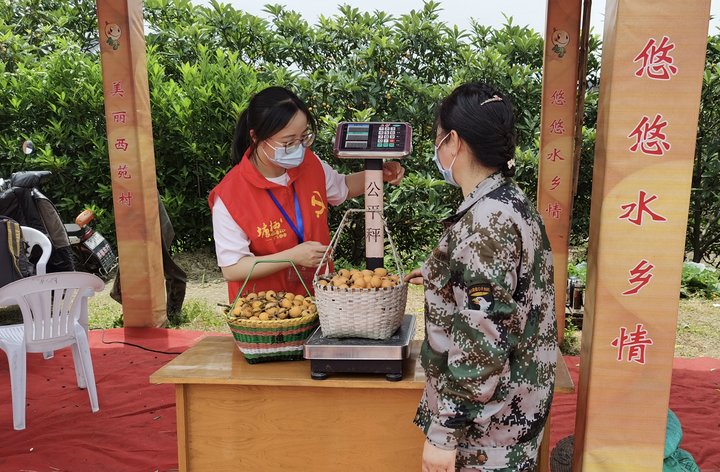 致富种植创业项目_致富种植业_致富经种植