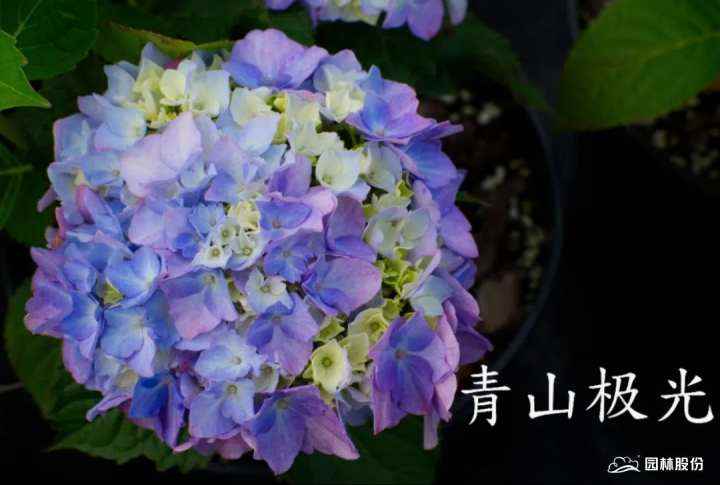 微信图片_20220720164044.jpg